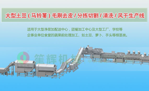 剑阁连续式土豆去皮清洗切割风干生产线